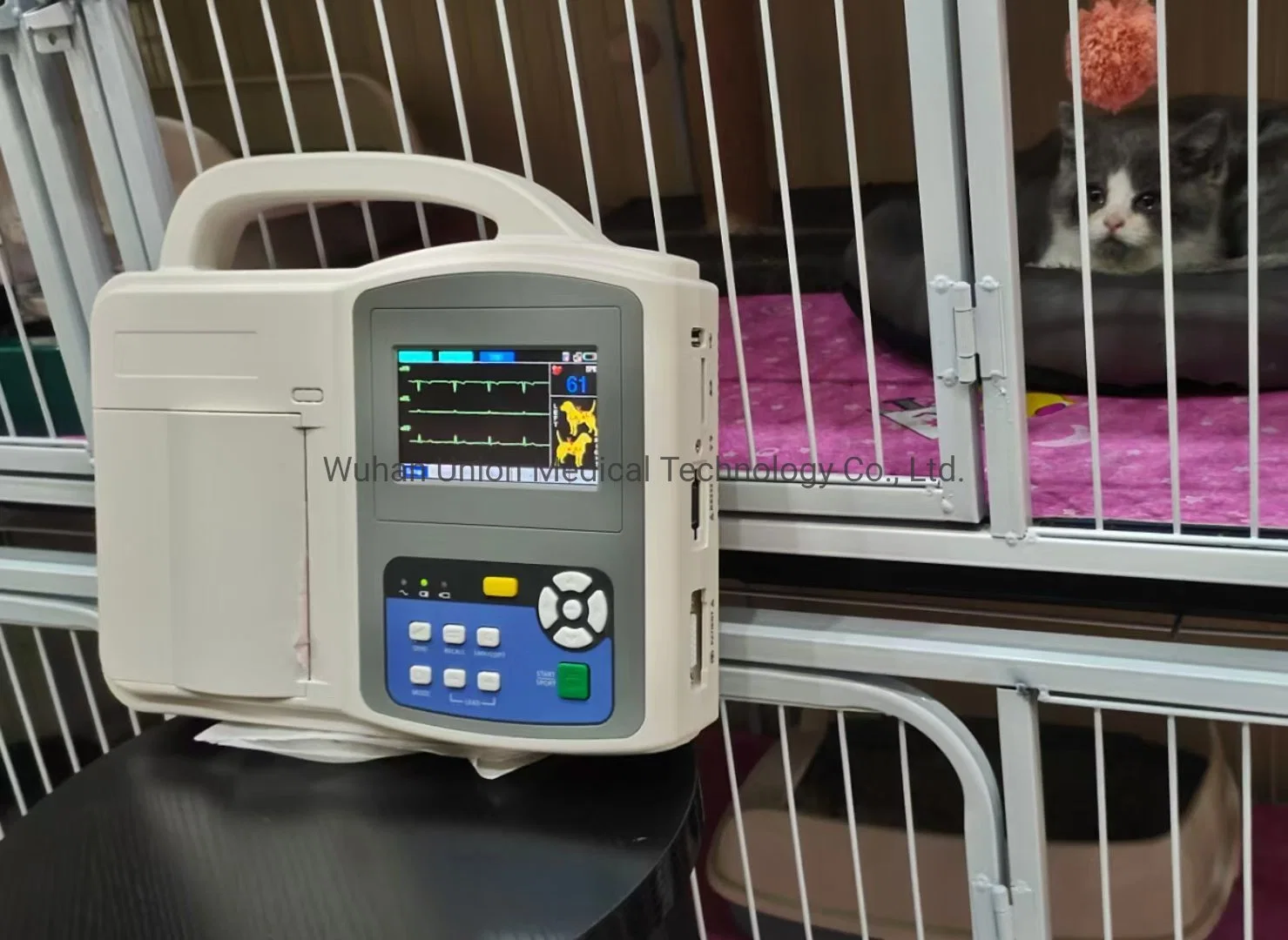 Manufacturer Price Veterinary Animal Dog Cat ECG Machine