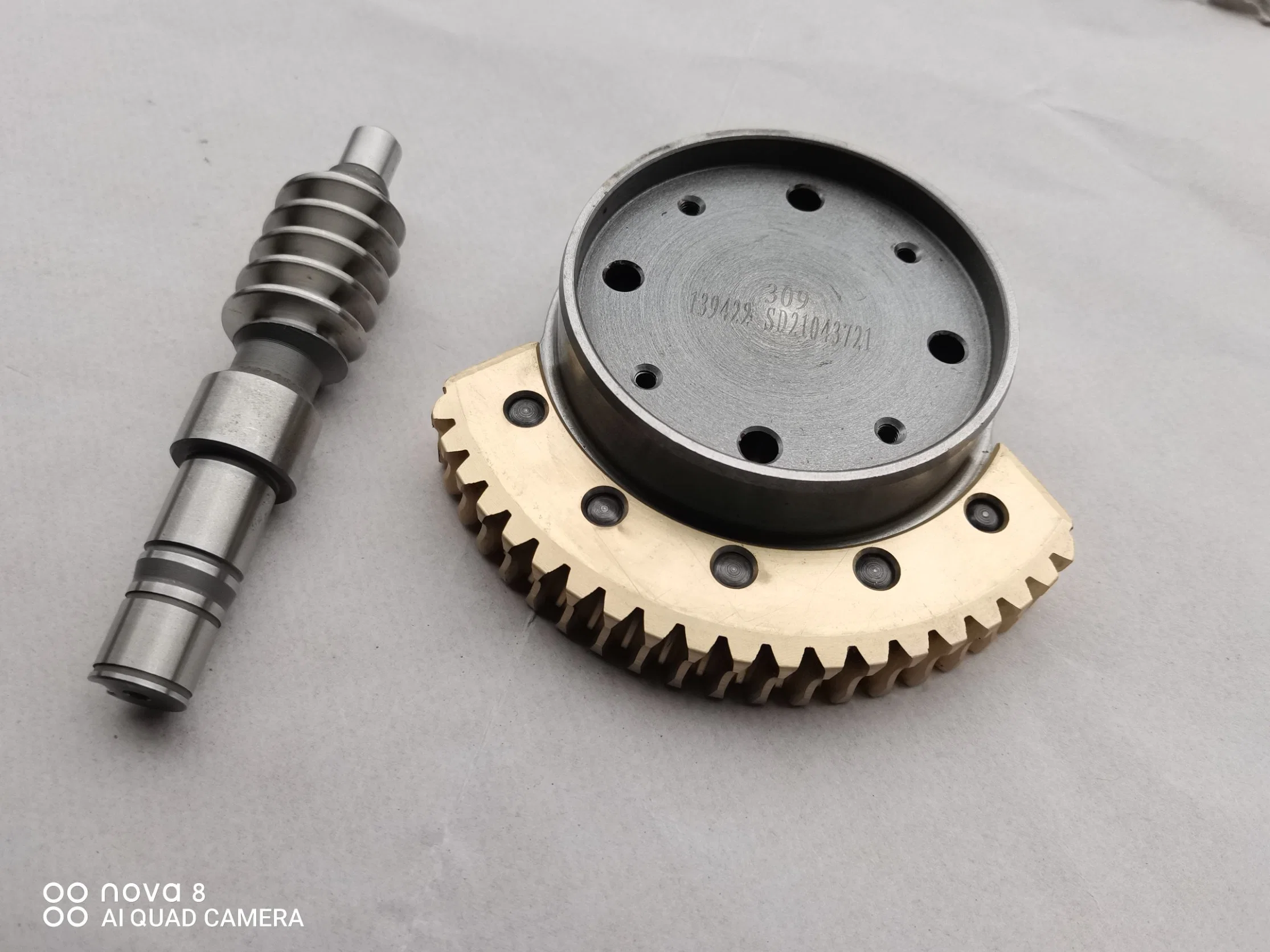 OEM Customized Worm Shaft and Worm Gear Worm Wheel