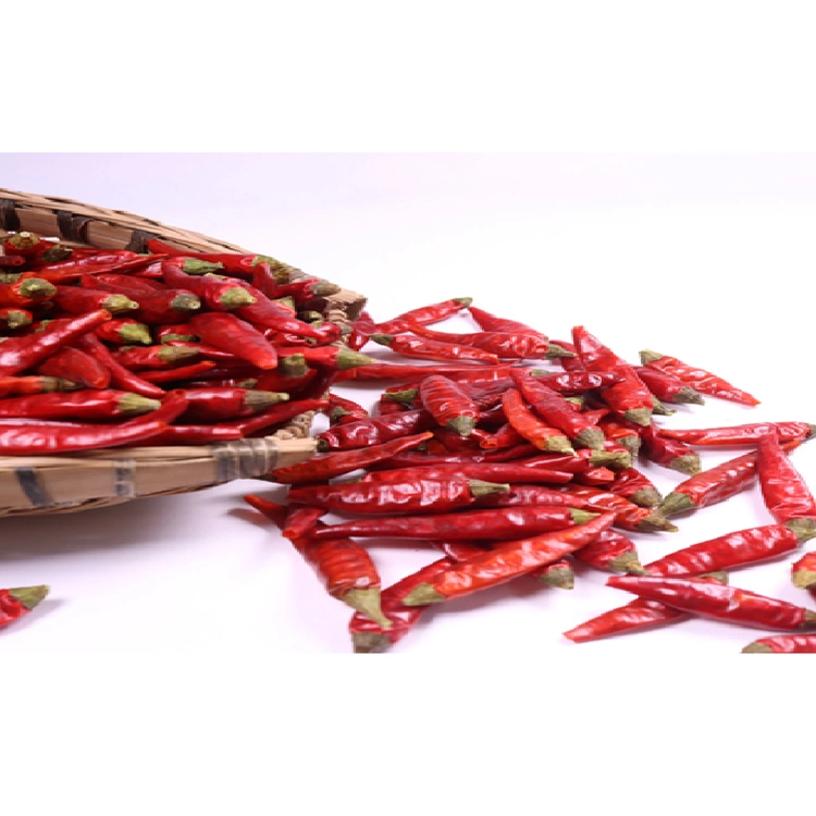 Garantía de calidad Chili rojo seco Capsicum frutescens