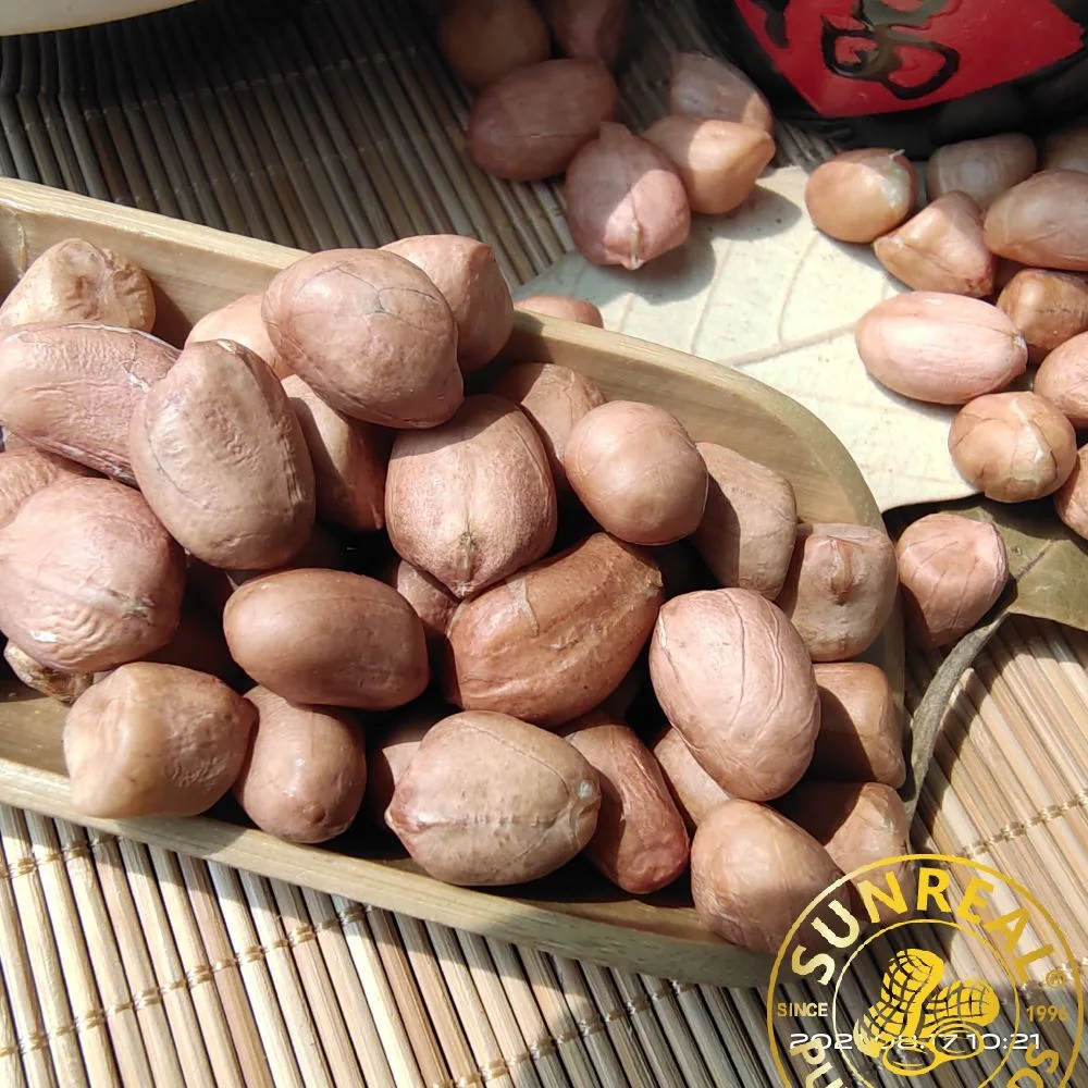 China Raw Peanut in Shell Hsuji Type/Plump Seeds/Quality Assurance