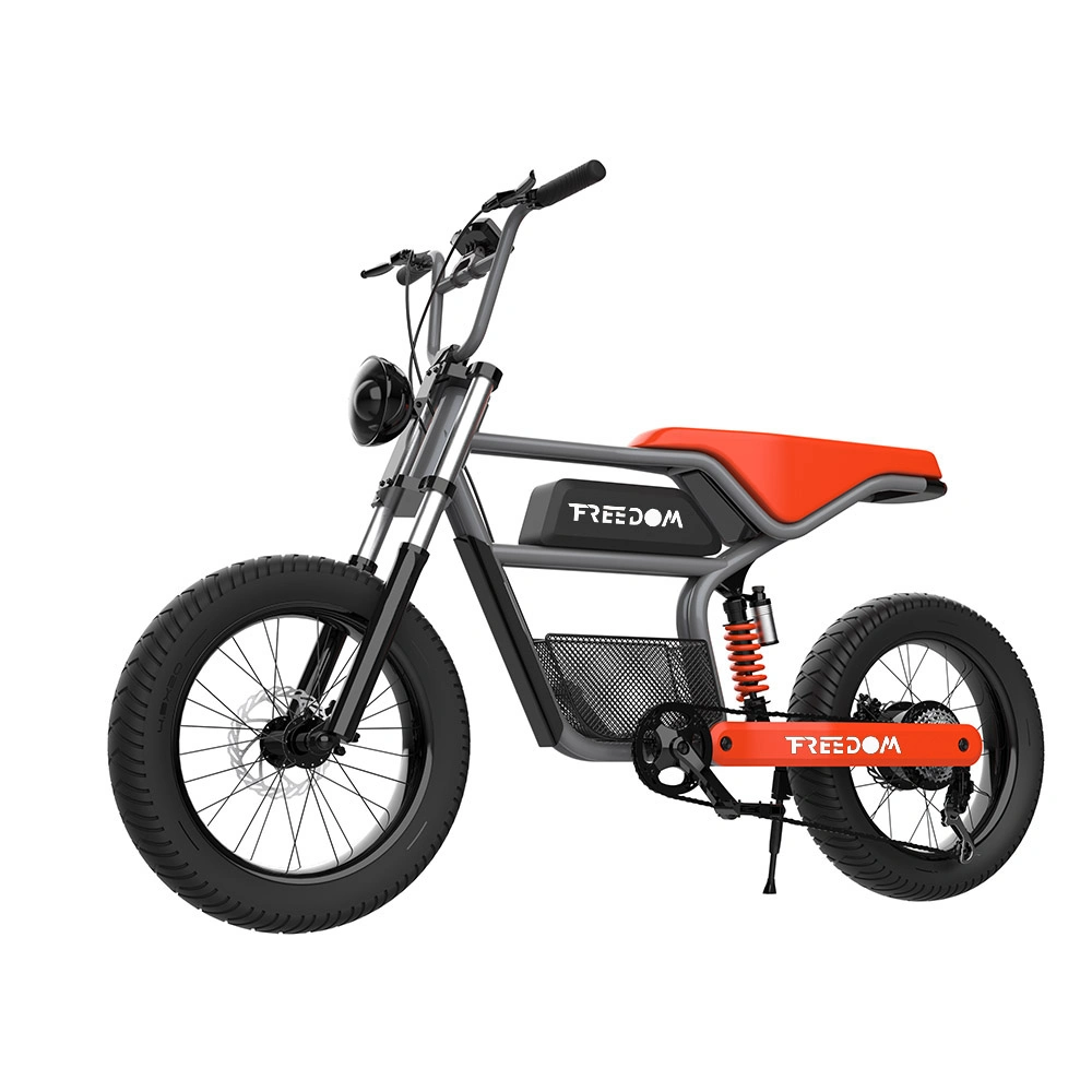 Rotes Fat Bike mit Mottor und Batterie für Erwachsene