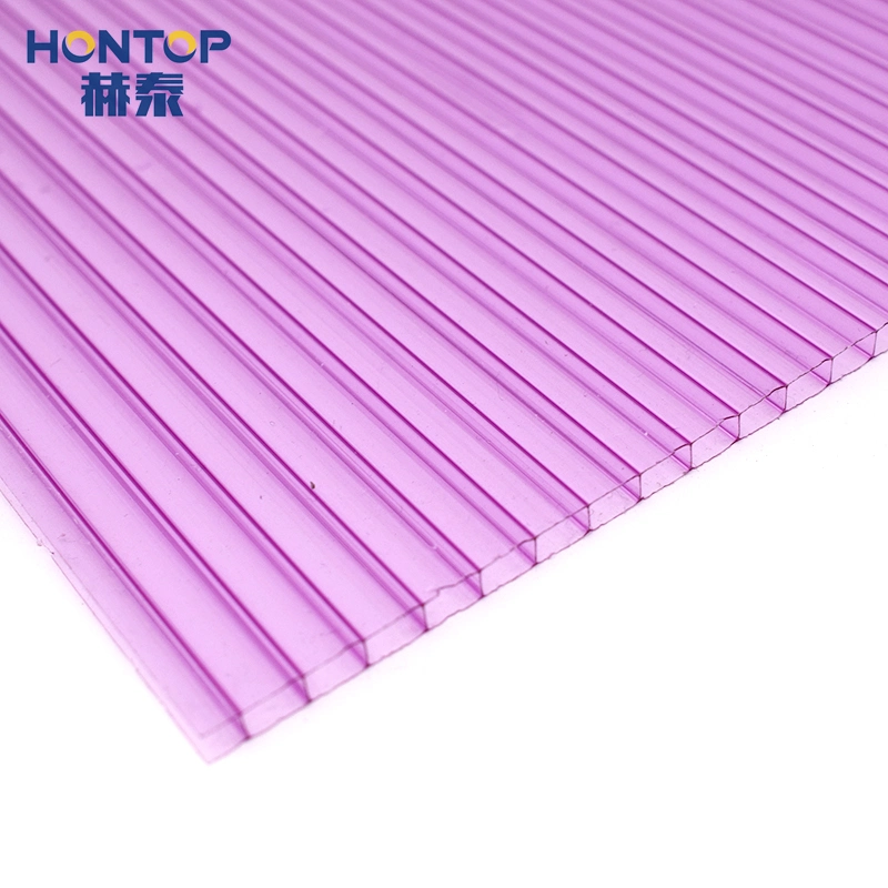 2mm Twin Wall Greenhouse Panels Thermoforming Hollow Polycarbonate Sheets