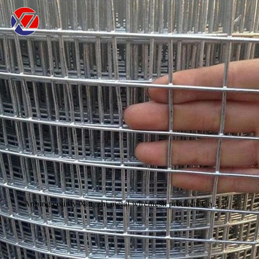 Galvanized PVC Coated Welded Wire Mesh Roll