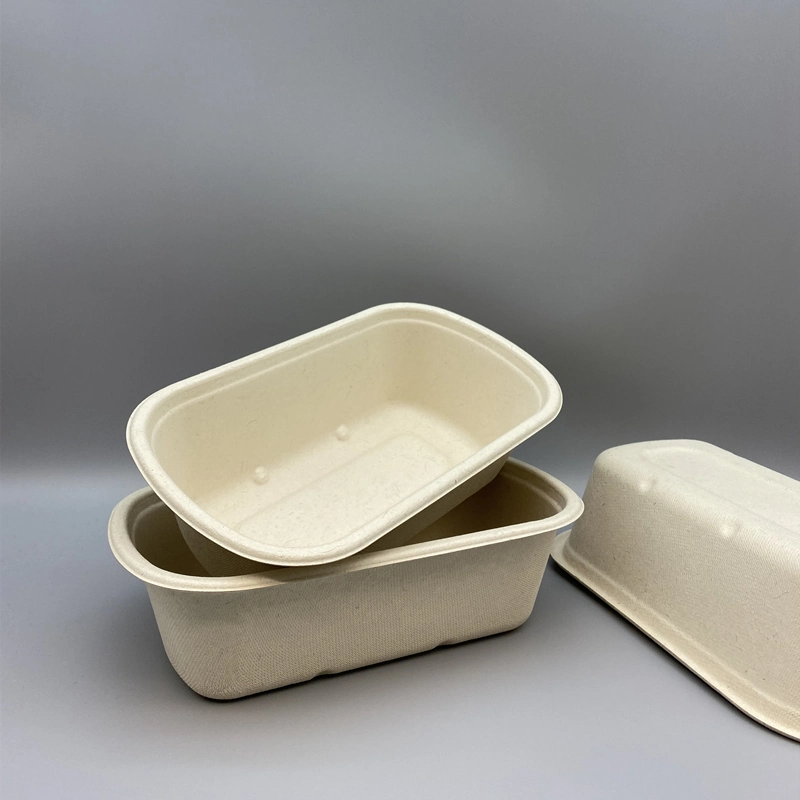 750 مل Bagasse Takeway Foodbox مواد قابلة للتحلل البيولوجي مواد غذائية