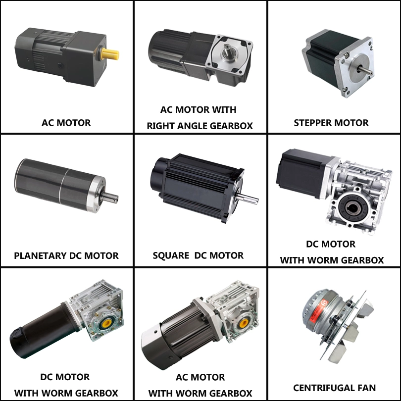 IE2 IE3 Right Angle Worm Gearbox Electric AC Induction Motor