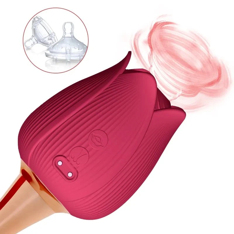 Clitoral Sucking Vibrator Double Head Vibration Rose Vibrator for Women