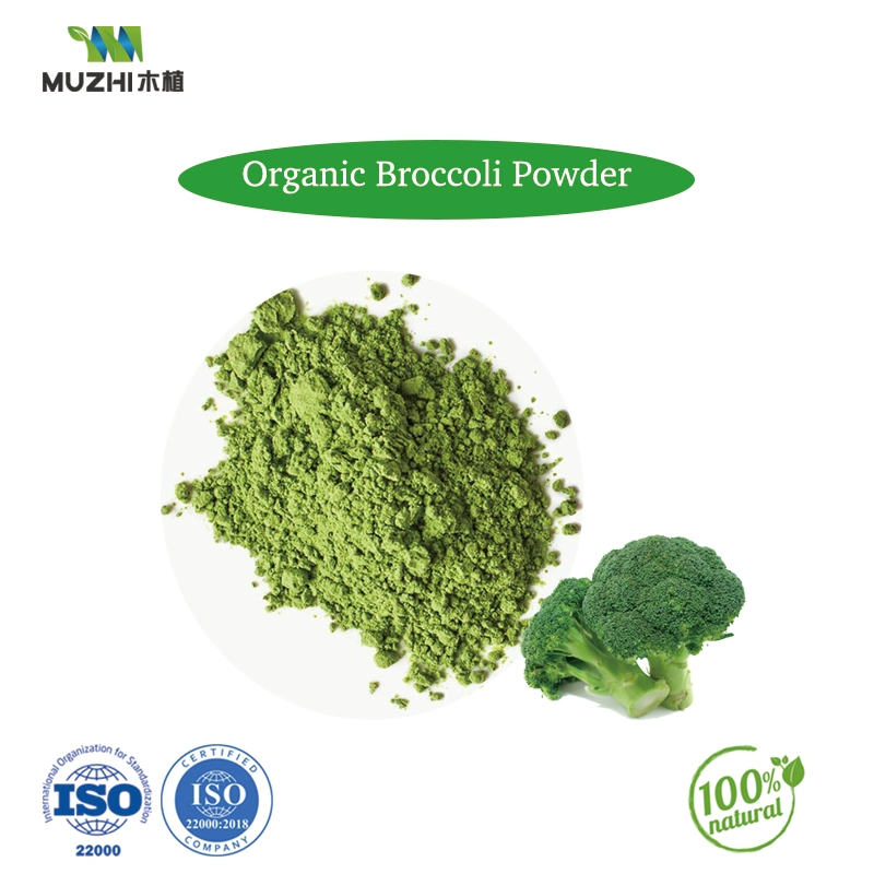 Cauliflower Powder Natural Herbal Plant Extract