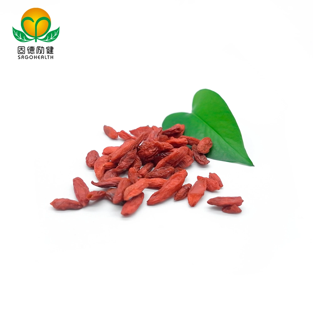 EU Hot Sale Best Quality Conventional Goji Berry