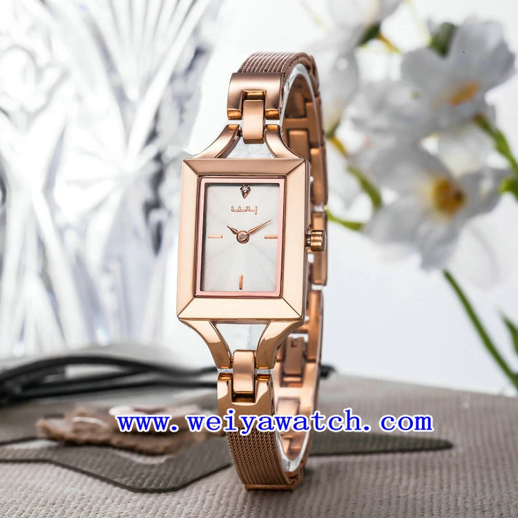 Custom Design Watch Alloy Luxury Stainless Steel Watch (WY-040D)