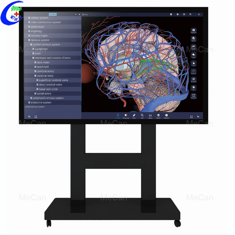 La pantalla táctil 3D de la Anatomía Anatomía Virtual de Educación de la tabla