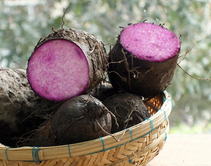 Chino dulce de camote Morado, violeta, el ñame con buena Quaility