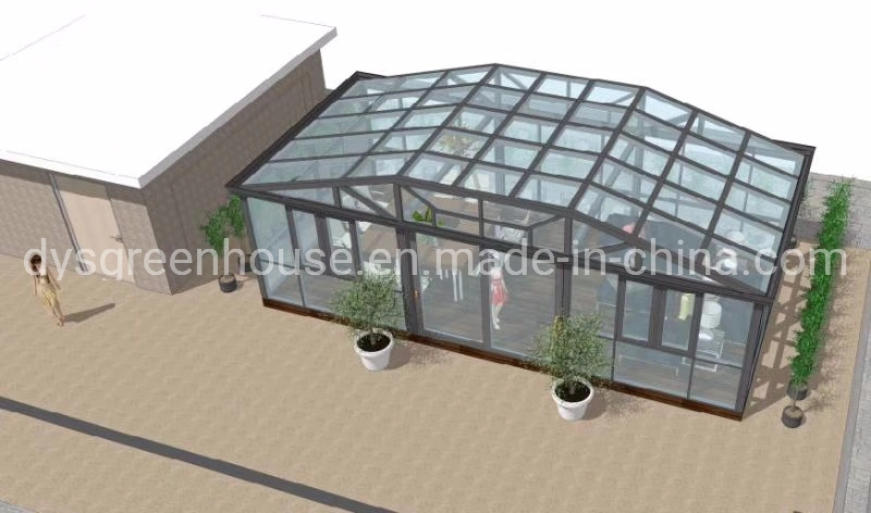 Dys Aluminum Alloy Glazed Triangle /Gable Roof Sunroom Garden Flower Green House Prefab House