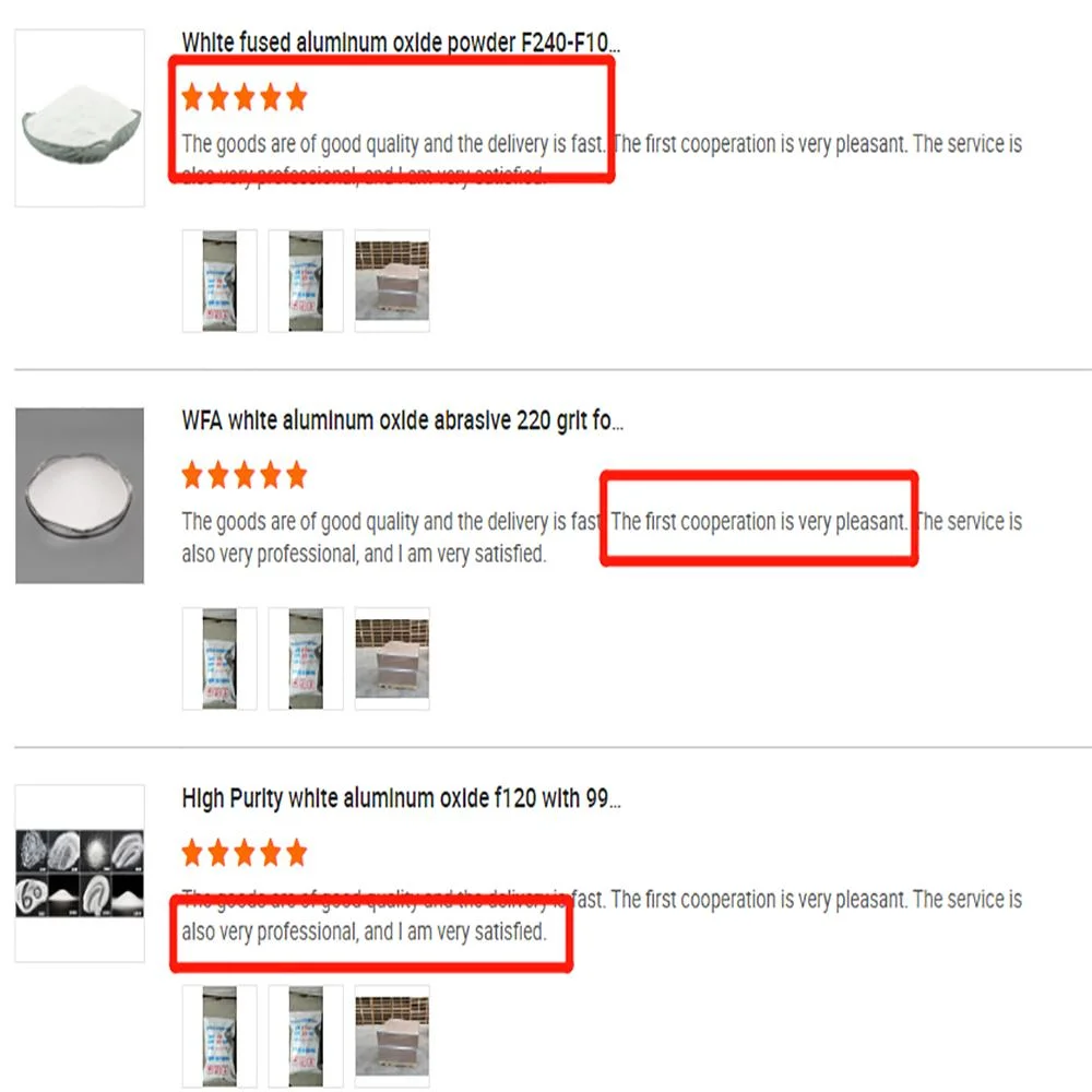 Ceramics Al2O3 Powder Aluminum Oxide Polishing Powder Alumina Lapping Powder for Coating