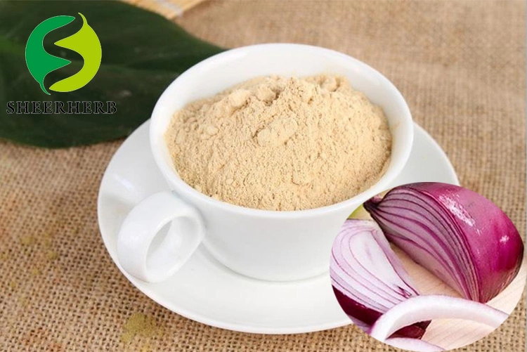 Prevent High Cholesterol New Crop Dehydrated White Onion Powder Manufacturer