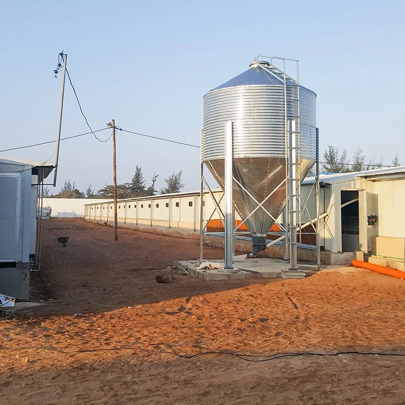 Haute qualité Structure légère en acier préfabriqués ferme avicole de la chambre de poulet