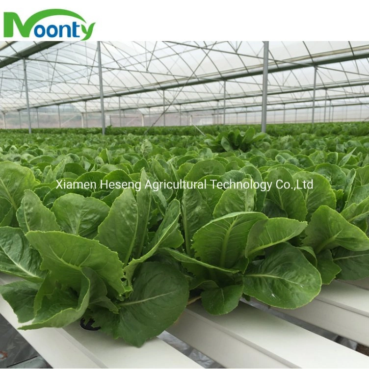 Farm Commercial Hydroponic Channel System and Nft Growing Systems for Lettuce/Tomato/Cucumber/Strawberry Growing with Greenhouse Hydroponics Equipment