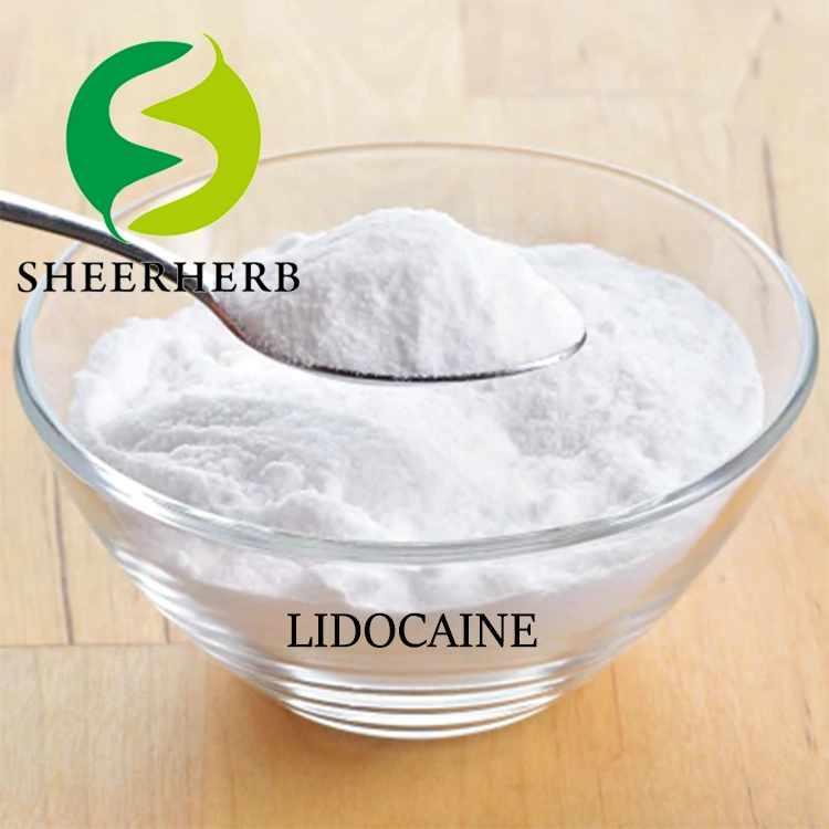 Pure Lidocain Bulk Lidocaine CAS 137-58-6 Lidocaine Prilocaine Cheap Lidocaine Powder