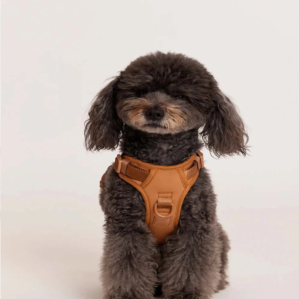 Wholesale/Supplier Own Brand Pet Products Top Seller Custom Logo No Pull Hands Free Soft Breathable Padded Dog Pet Harness Set with Leash