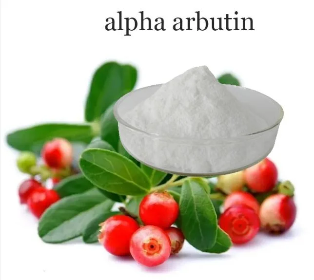 أوكازيون ساخن CAS 84380-01-8 99.9% Pure Alpha Arbutin Powder Factory السعر