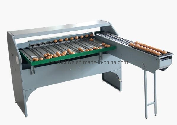 Commercial High Efficiency Commercial Stainless Steel Egg Classifier Machine Egg Grading Sorting Machine