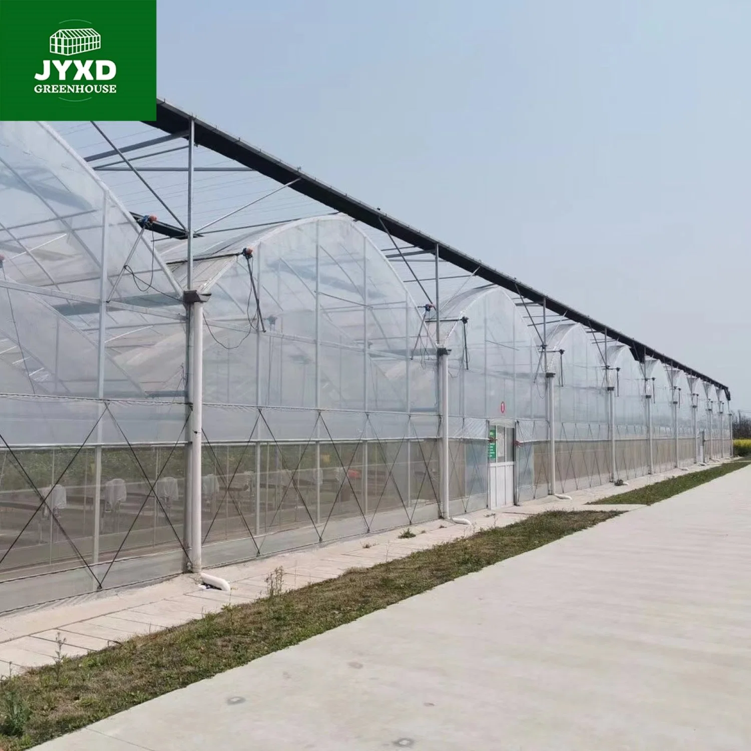 Film Greenhouse with Vertical Hydroponic Microgreen Trays Grow System