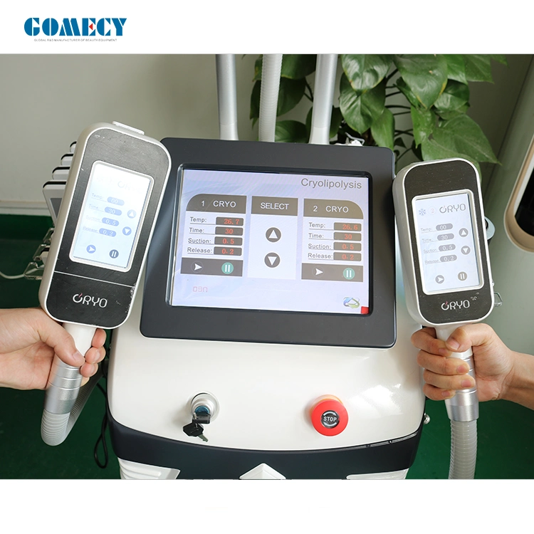 360 Cryolipolysis RF Machine Cavitation Vacuum All in 1 Body Slimming