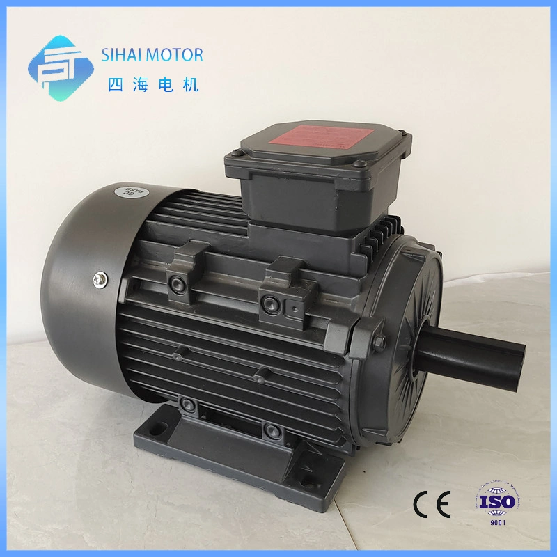 Le2/Le3 Efficiency 1.5HP 1.1kw Cast Iron AC Electric Three Phase Motor