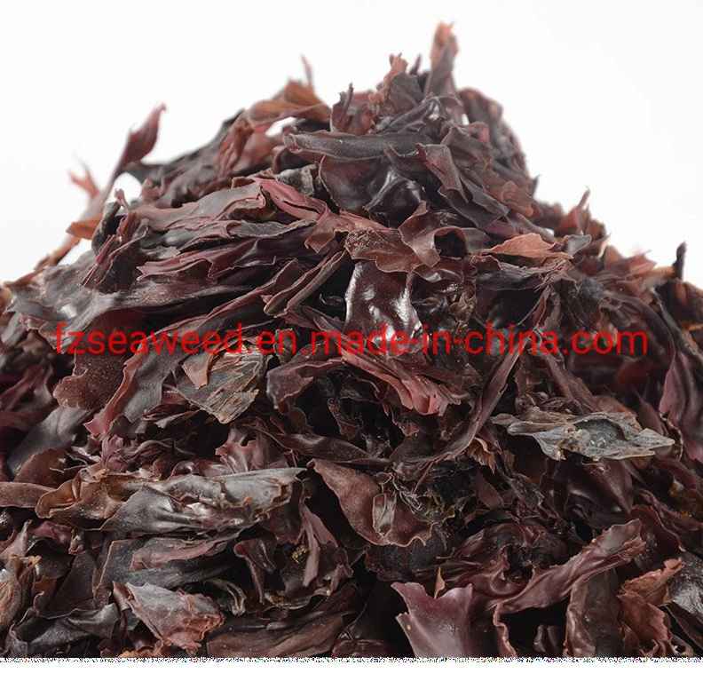 Dried Organic Red Seaweed Palmaria Palmata Flakes Food