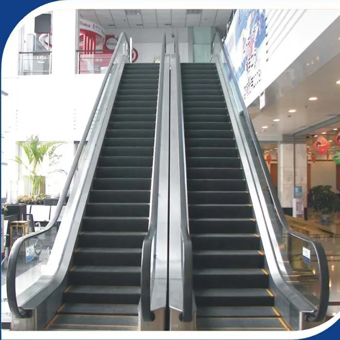 Hot Sale China FUJI Indoor Escalator Mini Escalator Indoor Escalator Passenger Escalator with Cost Price