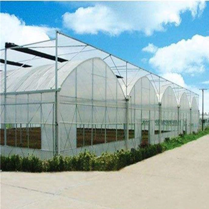 Agriculture Low Cost Smart Muti-Span Plastic Poly Tunnel Po/PE Film Greenhouse with Hydroponic Growing System