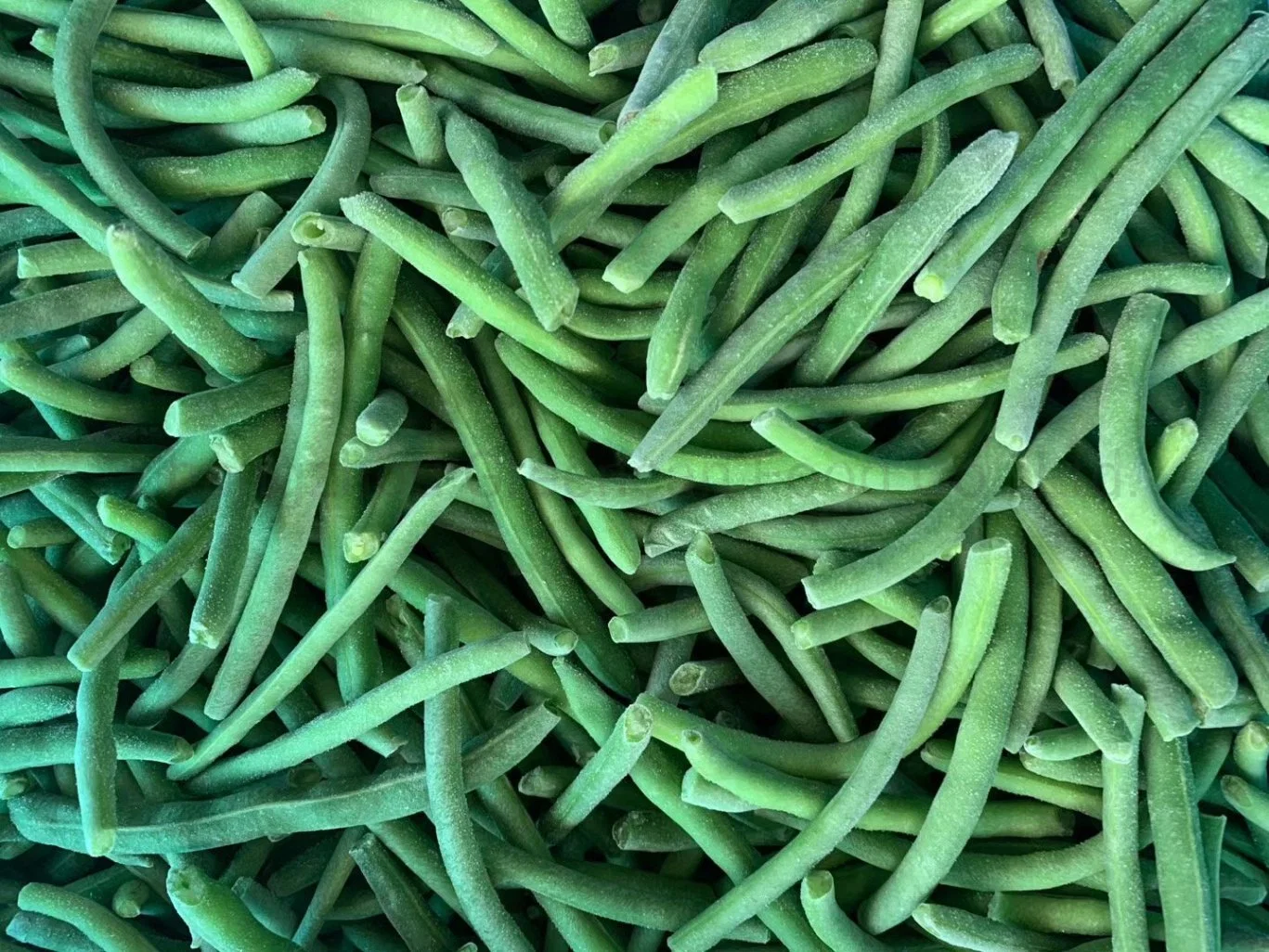 Greencan Vegetables IQF Green Beans Frozen Cut Green Beans