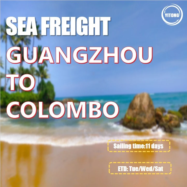 Shipping Agent From Shenzhen to Colombo Sri Lanka