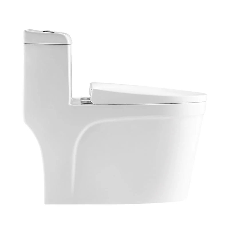 Commerce de gros appareils sanitaires en céramique de couleur blanche S-Trap 300mm en une seule pièce avec Soft coiffe de siège de toilette commode