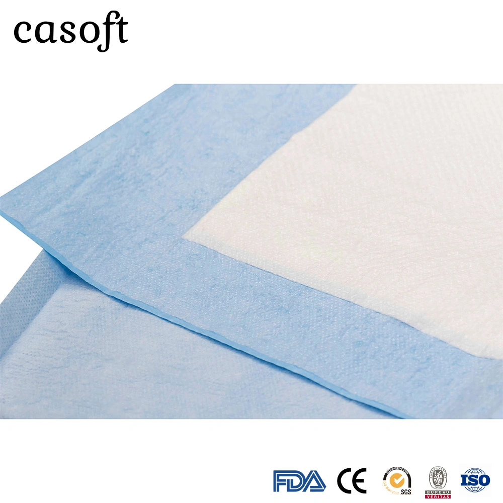 Casoft OEM Factory Portable Training Pet Wee Pad Dog Toilet Mat Cleaning Items