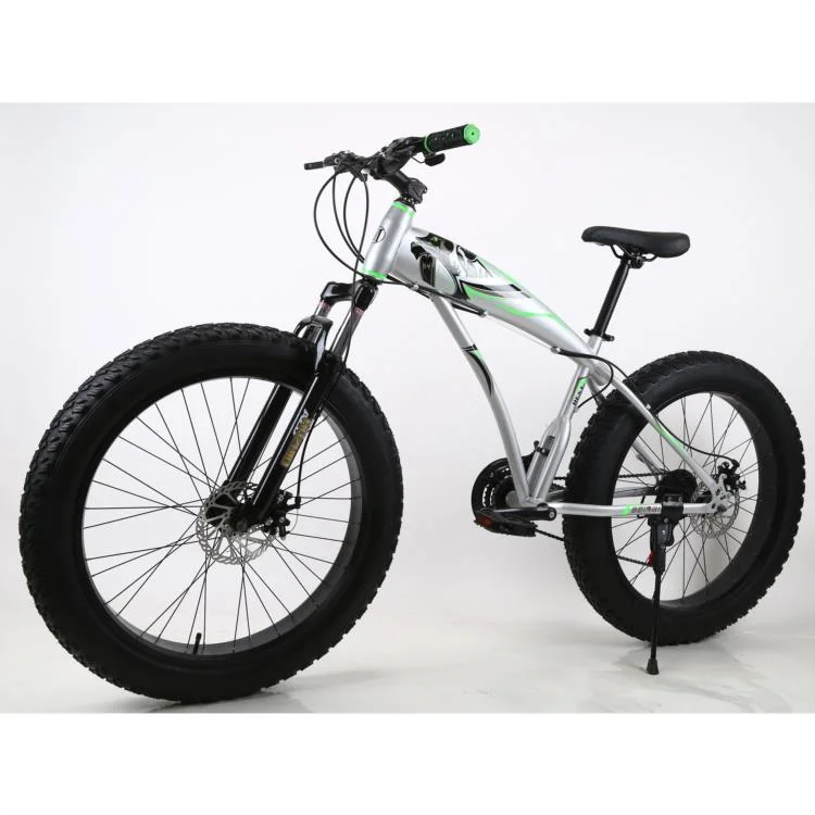 2022 Hot Selling Chinese OEM ODM Manufacturer Sports Mountain Fat Tire Mountain Bike