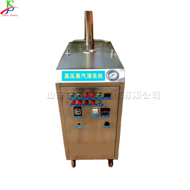 Cold Water Steam Door Washing Machine High Pressure Cleaning Machinery