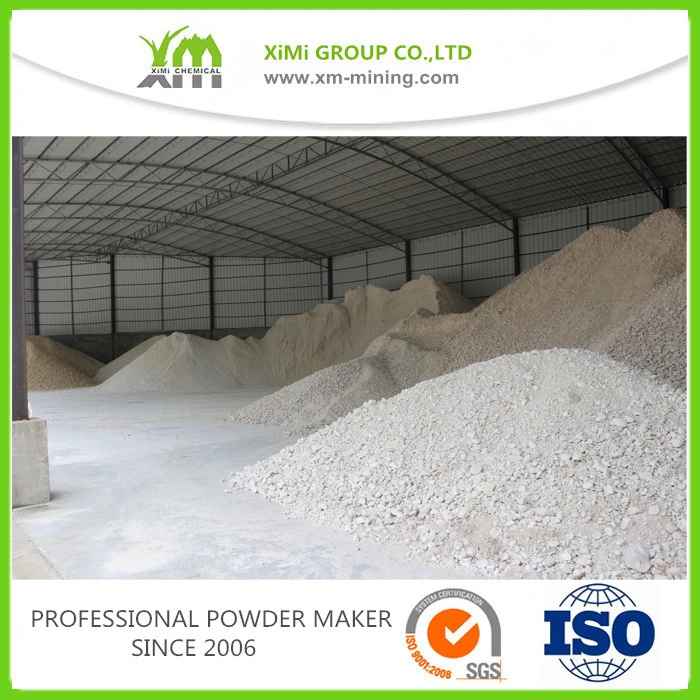 RoHS Inorganic Chemicals Natural CaCO3 Calcium Carbonate for Powder Coating