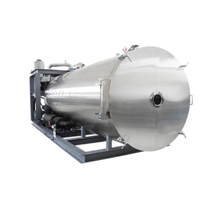 Large Full Automatic Vacuum Freeze Coconut Drying Machine