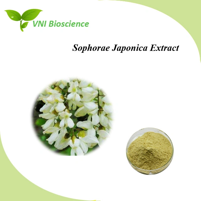 Kosher Halal Certified 100% Natural Quercetin Powder Sophora Japonica Extract