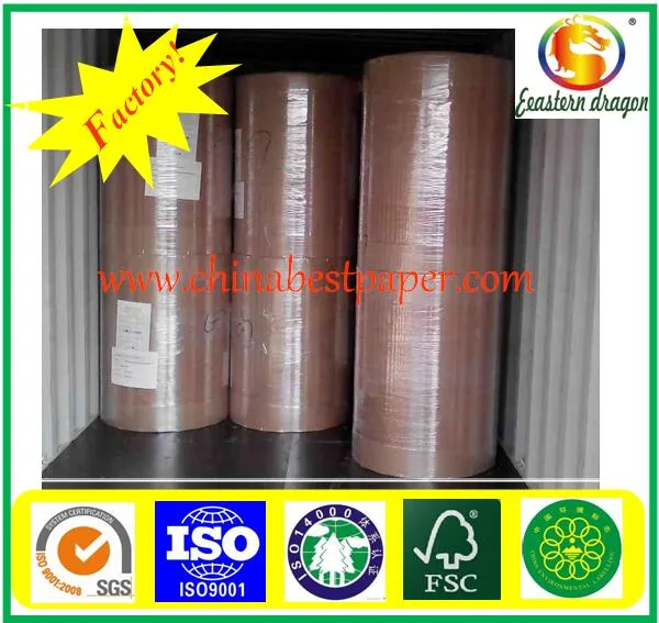 250g SBS High Grade Box Paper