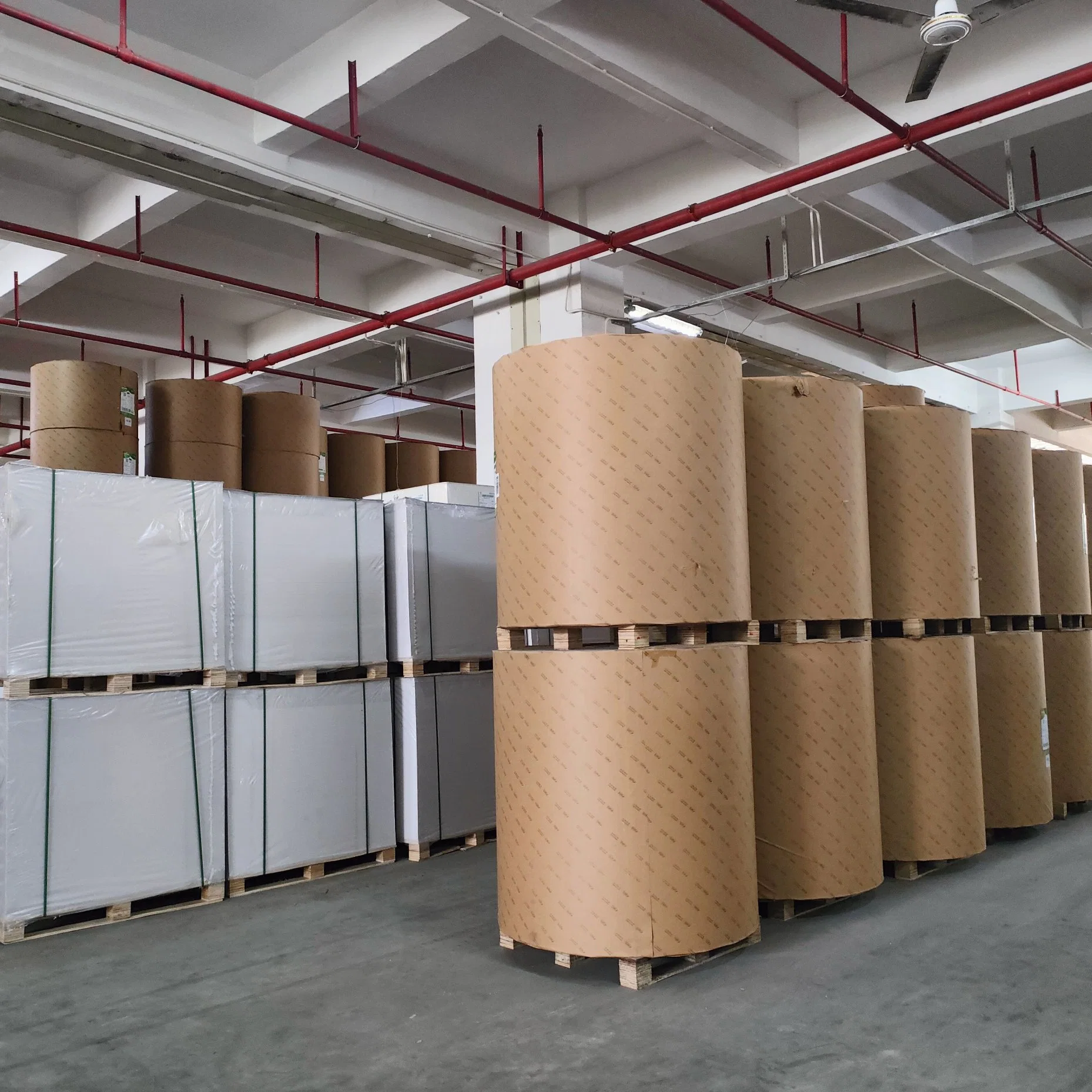 Hot Sales Coated Cardboard Paper Fbb Paper Board