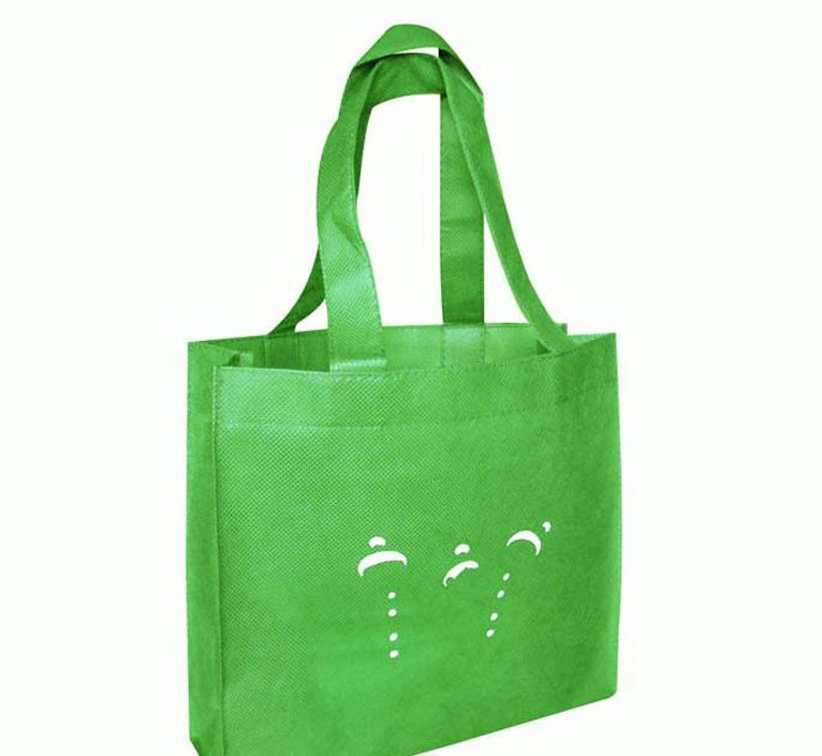 PP Laminated Non-Woven Shopping Bags for Promotional (FLN-9039)