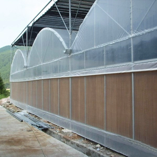 Curtain/Transmission/Distribution System Single Farm Facilities Equipment Flower House