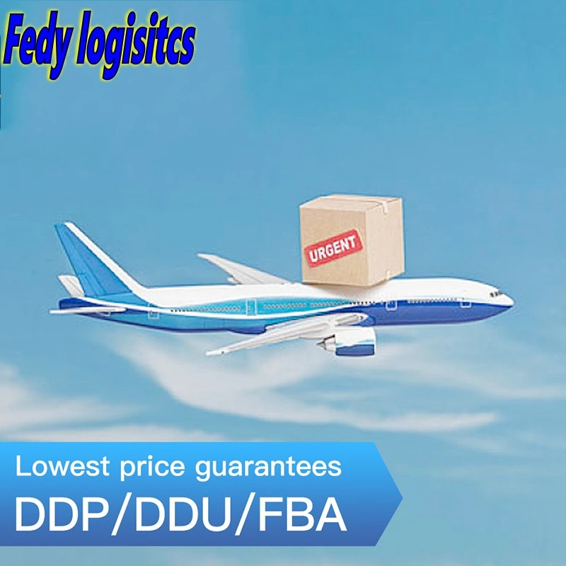 Serviço aéreo de carga Freight Forwarder para Timor Leste/Vietname/Laos/Tailândia/Birmânia/Camboja/Bengala/Índia/Nepal/Paquistão/Sri Lanka/Maldivas/Mongólia DDP do transporte marítimo