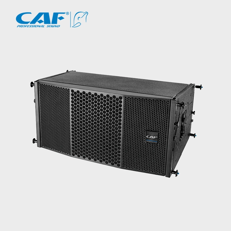 Zwei passive Line-Array-Sound-System-Lautsprecher mit 8inch Bässen