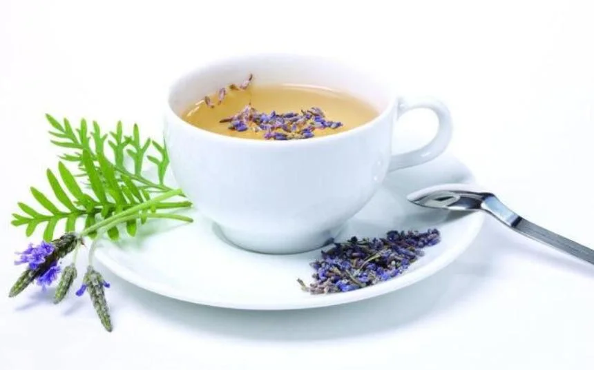 Popular al por mayor Lavanda Orgánica brotes de flores para el té de flores