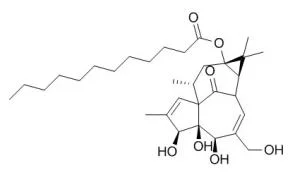 Reactivo químico ácido dodecanoico Estandero Ingenol para suministros de laboratorio Con ISO