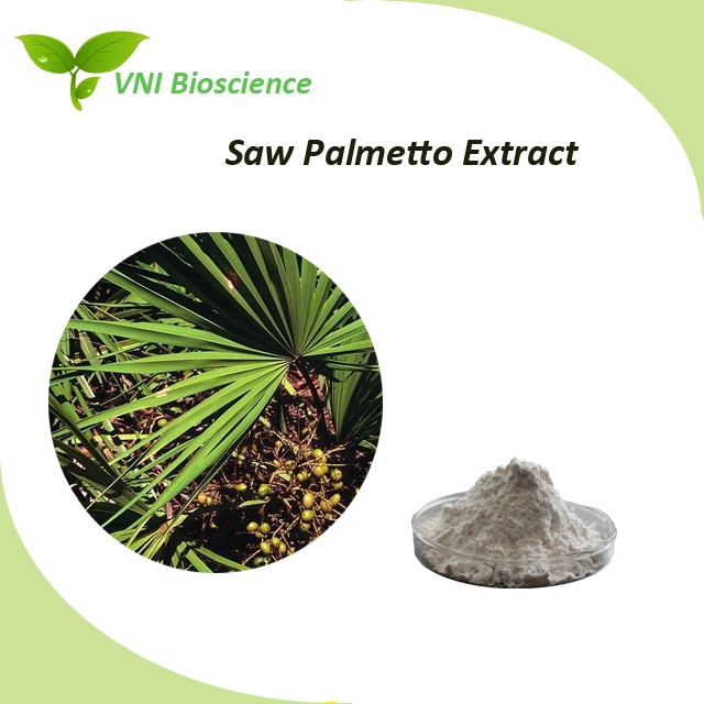 Kosher Halal Certified Fatty Acid Powder Saw Palmetto Plant Extract