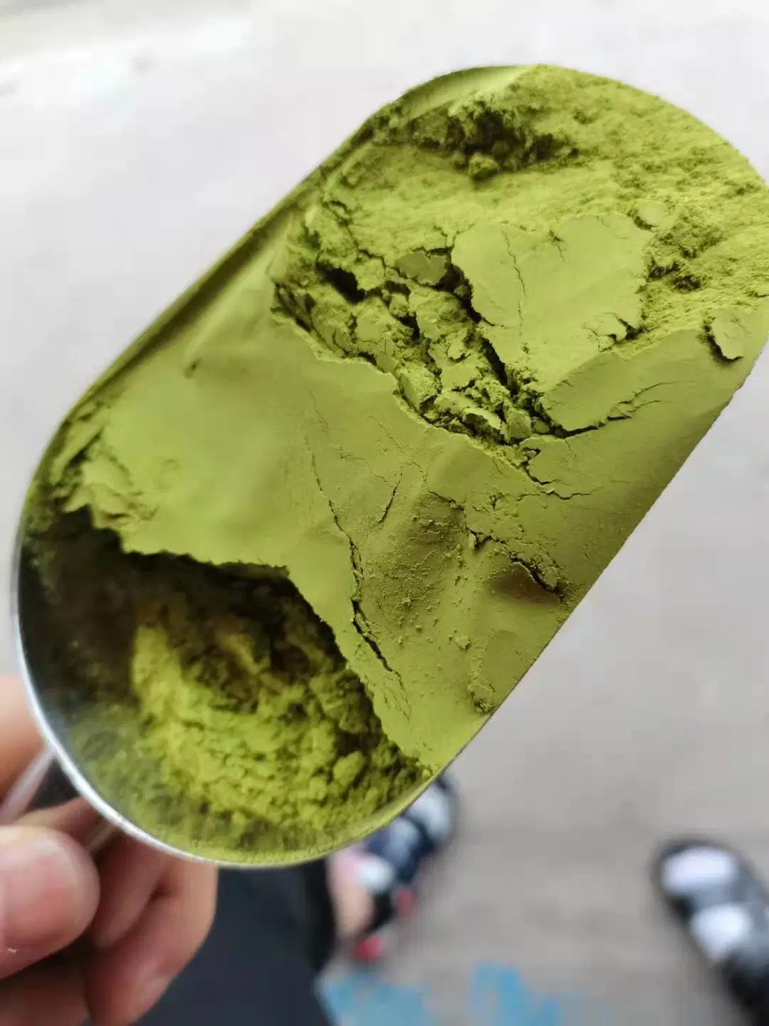 Prime culinaire organiques cérémonial de la poudre de thé vert matcha Grade