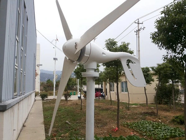 600W Horizontal Wind Turbine Generator Popular for Low Wind Area